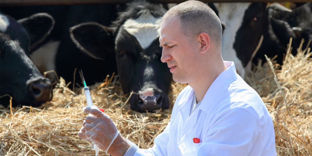 Consultation opens on risk classification of veterinary antimicrobials