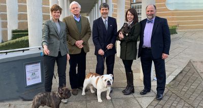 Scheme to improve health of brachycephalic dogs