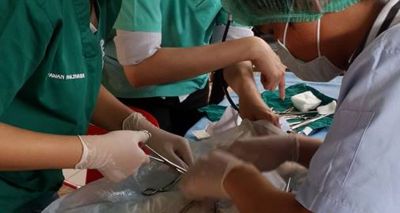 Vets in developing nations given free access to BSAVA’s online library