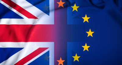 VMD publishes EU exit advice for vets