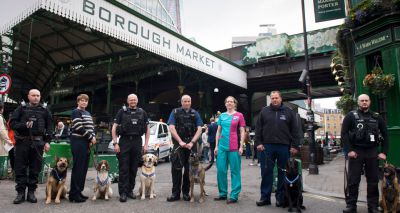 Hero police dogs to receive animals’ ‘OBE'