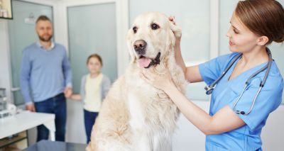 BBC programme explores benefits of independent practice