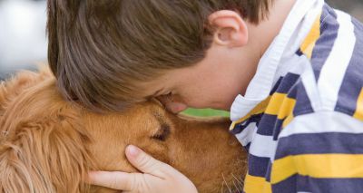 Dogs Trust responds to Damian Hinds’ comments