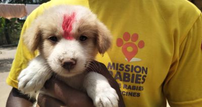 Mission Rabies extends campaign to Ghana