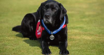 Medical detection dog receives animal’s OBE
