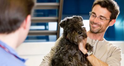 Vets urged to promote pre-purchase consults