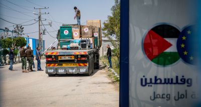 Vets complete Gaza zoo rescue mission