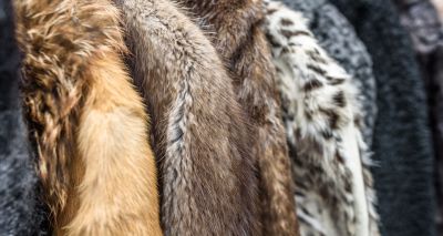 Fashion house Prada to stop using fur from 2020