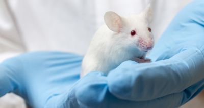 Survey reveals rising public concern about animal research
