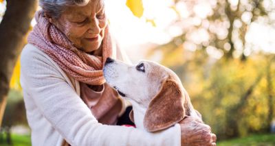 ‘Decision to own a dog ‘heavily influenced by genes’