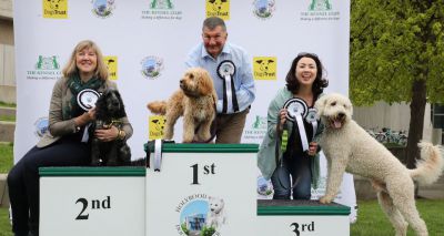 Cavalier puppy crowned Holyrood Dog of the Year