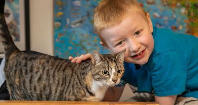 National Cat Awards 2019 finalists announced