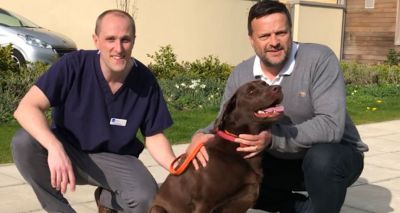 Veterinary hospital first to trial new ankle surgery