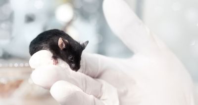 Scientists set to develop animal-free model of human airways