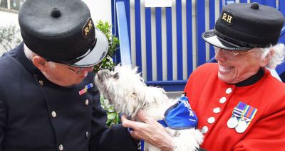Battersea scoops Queen’s Award for Voluntary Service