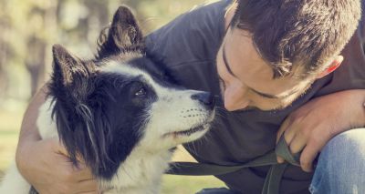 Dogs 'mirror stress levels of their owners'