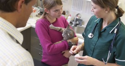 Nominations open for Blue Cross Veterinary Nurse of the Year award