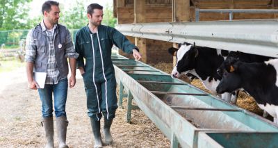 Report sheds light on use of farm health plans