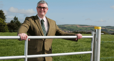 Wales praised for collaborative efforts to support animal welfare