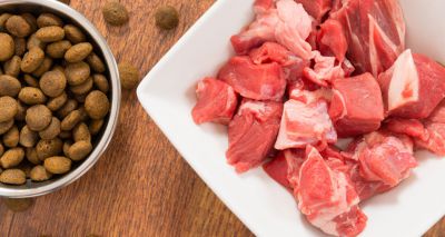 Study reviews raw pet food risks