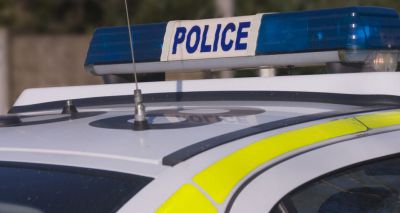 Man arrested in connection with cat attacks
