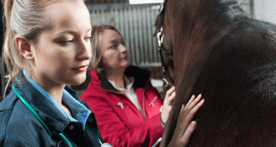 Landmark report sheds light on discrimination