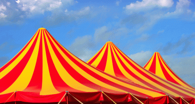 ‘Relief’ as circus bill passes final reading