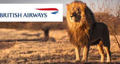 British Airways announces launch of new animal welfare policy