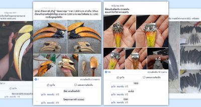 Hornbill parts for sale on Thai social media