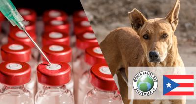 Boehringer Ingelheim donates vaccines to fight rabies