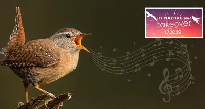 Soothing birdsong to sweep the nation