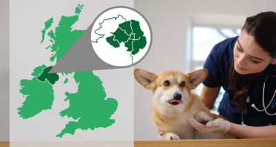 BVA champions vets in Northern Ireland
