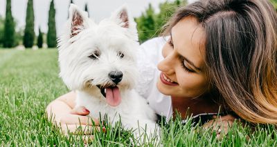 Canine cancer vaccine trial gets underway