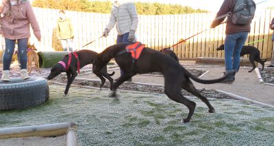 Scottish SPCA opens new sensory garden for dogs in Aberdeenshire