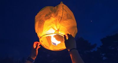 Primates killed in German zoo fire sparked by sky lanterns