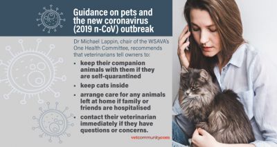 WSAVA issues new coronavirus guidance