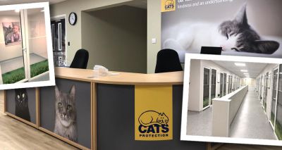 Novel cat rehoming centre set to open in Harrow