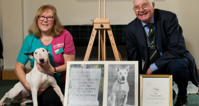 Hero WWII dog receives PDSA Commendation