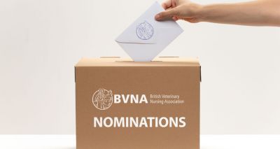 Nominations open for BVNA Council elections
