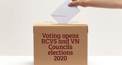 RCVS and VN Councils elections get underway