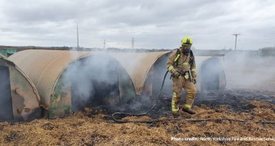 Pig starts fire after eating pedometer