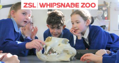 ZSL Whipsnade launches educational outreach programme