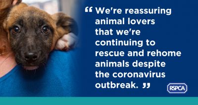 RSPCA to continue helping animals despite COVID-19