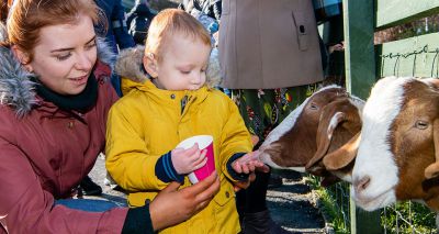 LOVE Gorgie Farm seeking veterinary volunteers