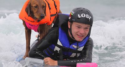 Surfing therapy dog inspires in viral video