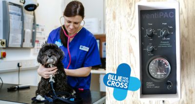 Blue Cross donates ventilators to the NHS