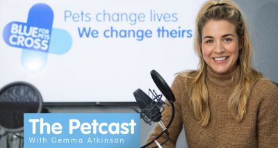 Blue Cross launches new podcast for pet owners