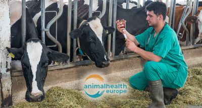 AnimalHealthEurope confirms no current problems with veterinary medicine supply