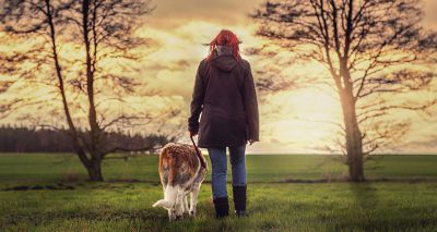 RSPCA urges local authorities to reduce restrictions on dog walkers