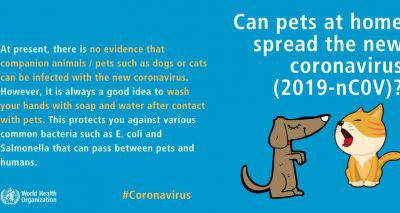 COVID-19 detected in dog, WSAVA issues advice